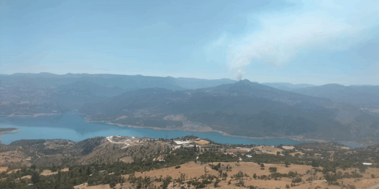 Karaman'ın Ermenek ilçesinde orman yangını