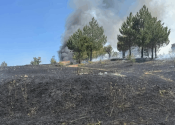 Kastamonu'da orman yangını büyümeden söndürüldü