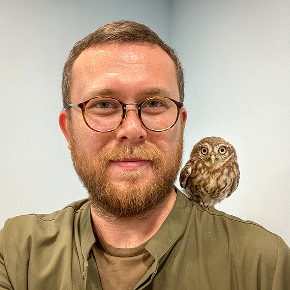 Kekliğin keneleri yediği iddiası doğru değil