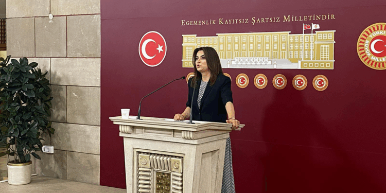 Komisyonun isminde 'demokrasi' kavramının olmasında ısrarcıyız