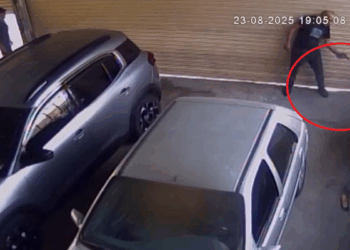 Komşu esnafın köpeğini tabancayla öldürdü; o anlar kamerada