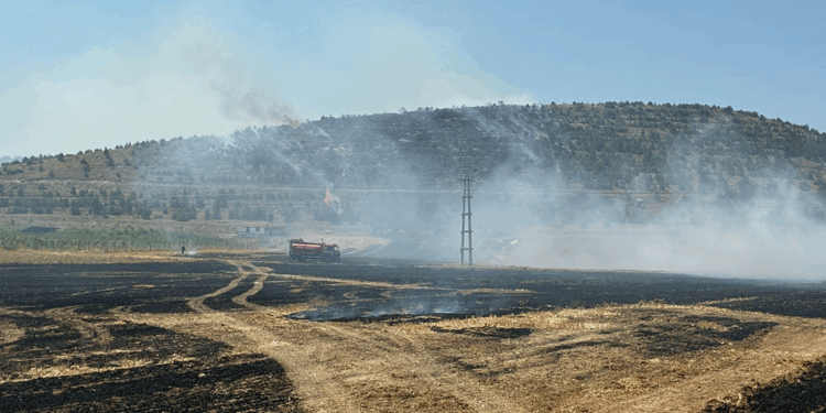 Konya'da anız yangınında alevler ormana sıçradı