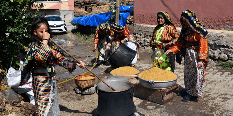 Köylüler, hasadı harman festivali ile kutladı
