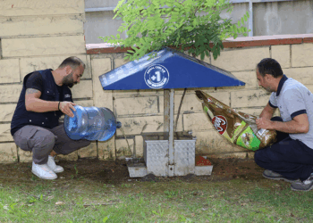 Küçükçekmece Belediyesi’nden sokak hayvanları için mama ve su desteği