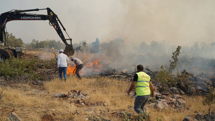 Mardin'deki örtü yangını 5 saatte söndürüldü