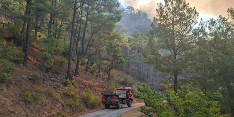 Mersin yanıyor; çok sayıda arazöz ve orman işçisi sevk edildi