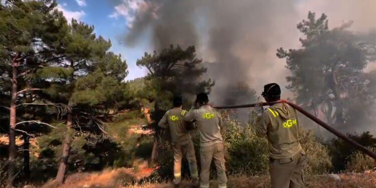 Mersin'deki orman yangınına müdahale sürüyor