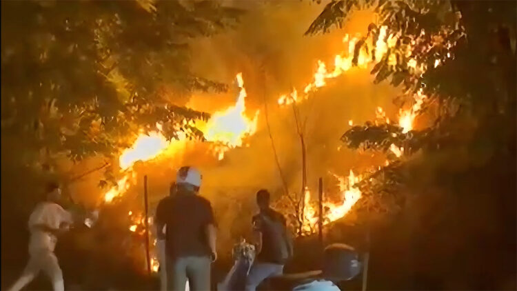 Sapanca'da meşaleler nedeniyle otluk alanda çıkan yangın söndürüldü
