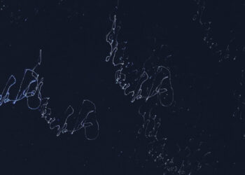 Perseid meteor yağmurunu Bursa'nın sahil kesimlerinden izlediler