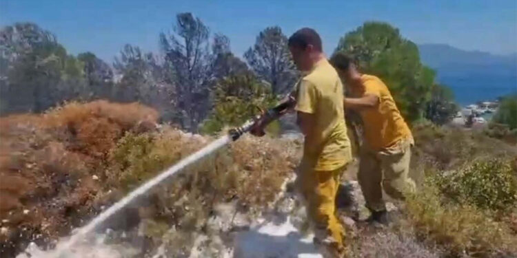 Datça'da maki yangını; 1,5 dönüm alan zarar gördü