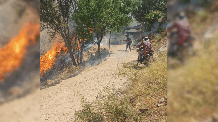 Malatya'nın Doğanyol ilçesinde orman yangını