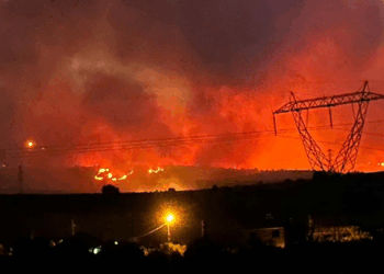 Manisa'da tarlada çıkıp makilik alana sıçrayan yangın kontrol altında