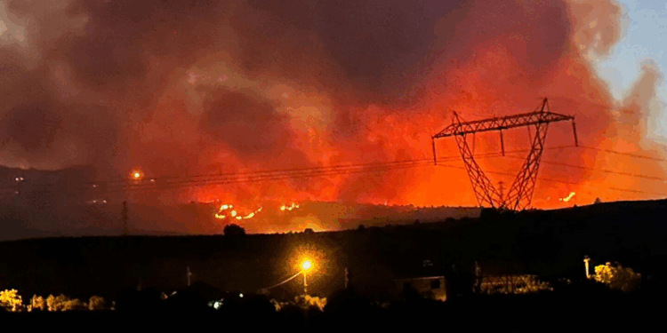 Manisa'da tarlada çıkıp makilik alana sıçrayan yangın kontrol altında
