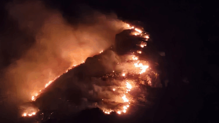 Marmara Adası'nda orman yangın