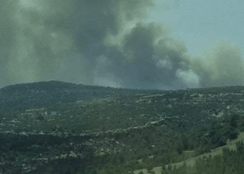 Mersin'de 3 ayrı noktada orman yangını