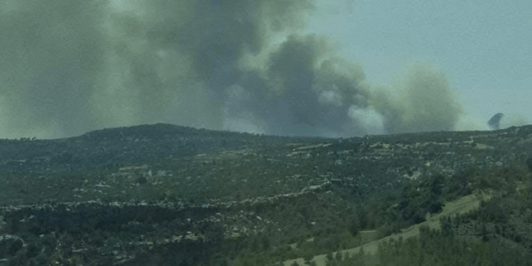 Mersin'de 3 ayrı noktada orman yangını