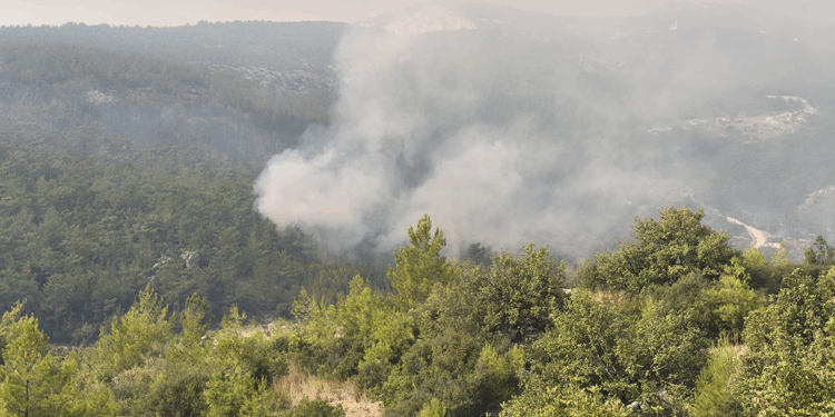 Mersin'in Silifke ilçesindeki orman yangını 3'üncü gününde