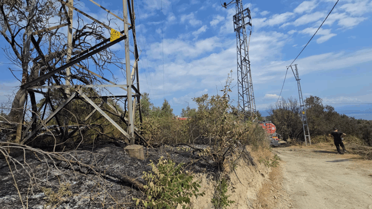 Mudanya'da 1 dönüm orman yandı