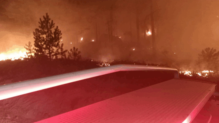 Muğla Yatağan'daki orman yangını kontrol altında