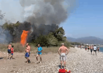 Muğla'da yangın! Ekipler müdahale ediyor