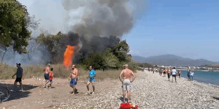 Muğla'da yangın! Ekipler müdahale ediyor
