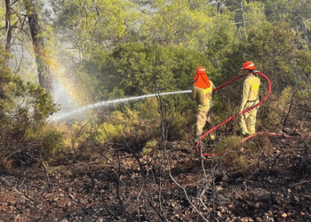 Muğla'daki ormanı yangını söndürüldü