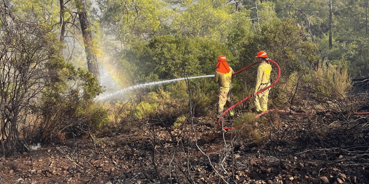 Muğla'daki ormanı yangını söndürüldü