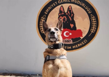 Narkotik köpeği Pars emekliye ayrıldı