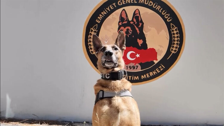 Narkotik köpeği Pars emekliye ayrıldı