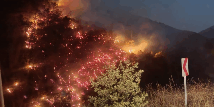 Nazilli'de orman yangını büyümeden kontrol altına alındı