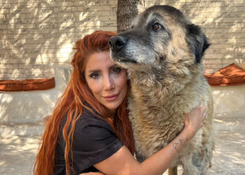 Duman 6 ayda 20 kilo verdi