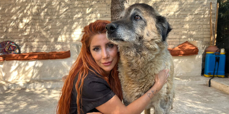 Duman 6 ayda 20 kilo verdi