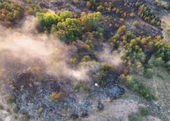 Ordu'nun Mesudiye ilçesinde orman yangını