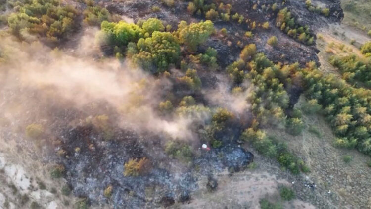 Ordu'nun Mesudiye ilçesinde orman yangını