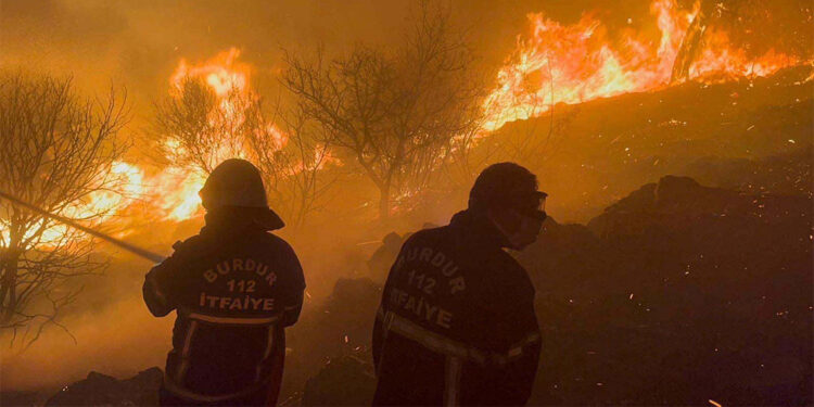 Osmaniye'den acı haber; Orman işçisi Ali Tekerek şehit oldu
