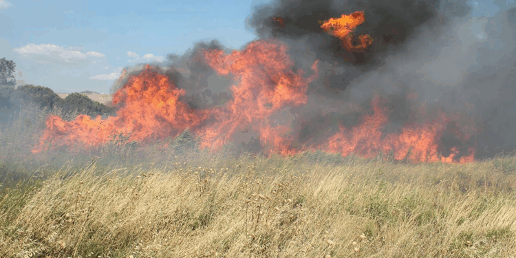 Orman yangını riski eylül ayında da devam edebilir