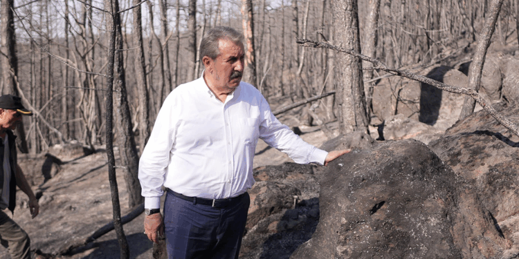 Ormanlarımızı yakanlar ifşa edilsin