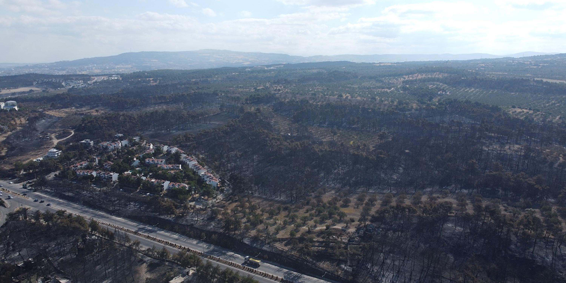 Ormanların yangınlarına karşı avlanma yasaklansın talebi
