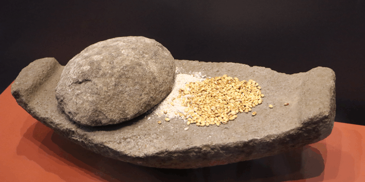 Oymaağaç Höyüğü kazılarında 3 bin yıllık fındık kabuğu bulundu