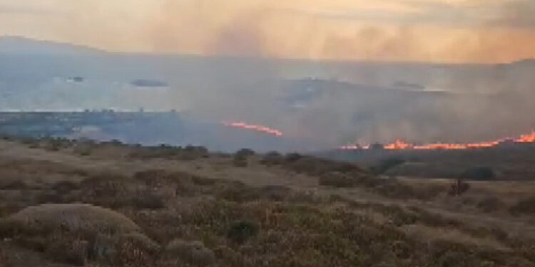 Paşalimanı Adası'ndaki makilikte çıkan yangın söndürüldü