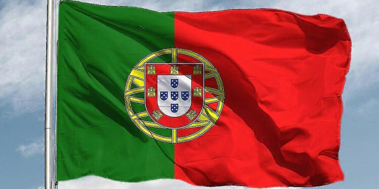 Portekiz hükümeti, orman yangınlarına karşı alarm süresini uzattı