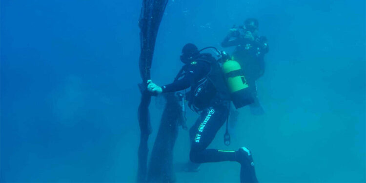 Derin sularda hayalet ağ çok fazla