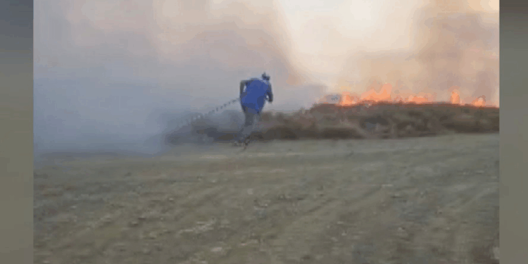 Paşalimanı Adası'nda makilik yangını; 20 dönümlük alan yandı