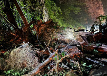 Rize'de heyelan nedeniyle kapanan yayla yolu ulaşıma açıldı
