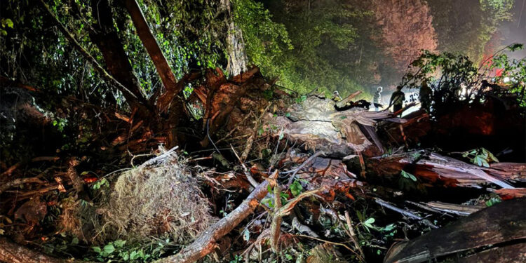 Rize'de heyelan nedeniyle kapanan yayla yolu ulaşıma açıldı