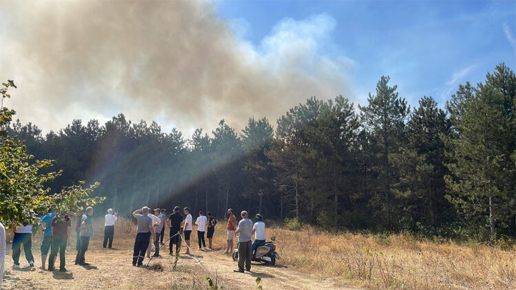 Sakarya'nın Akyazı ilçesi yanıyor
