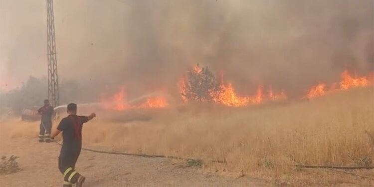 Şırnak'ta örtü yangını