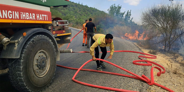 Yayladağı'nda çıkan orman yangını kontrol altına alındı