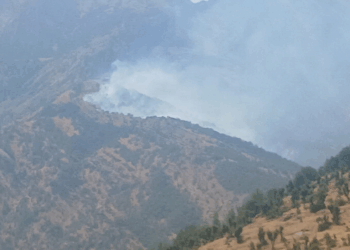 Şırnak'ta ormanda örtü yangını çıktı