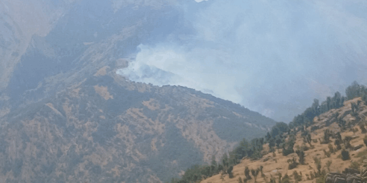Şırnak'ta ormanda örtü yangını çıktı